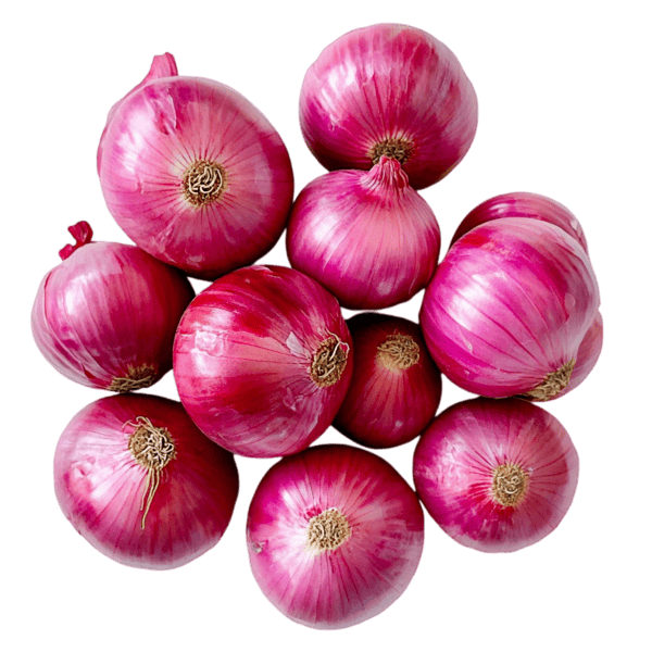 freepik__background__8670 (1)