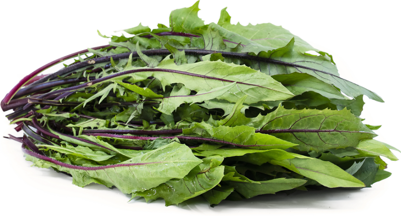 Dandelion Leaves