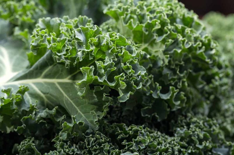 Dehydrated Kale