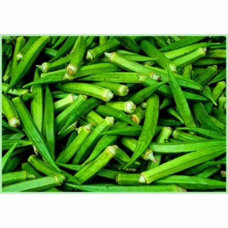 Okra (Lady Finger)