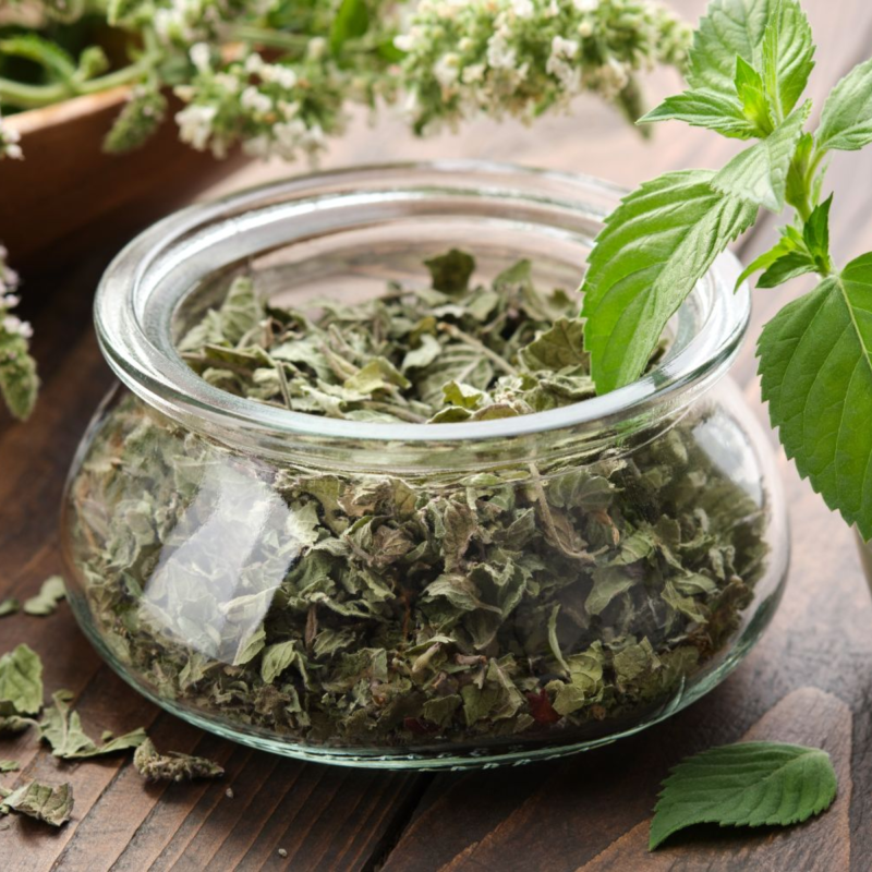 Dried Mint