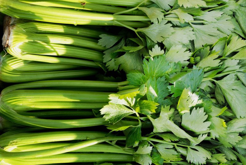 Celery Leaves