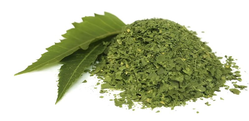 Dried Neem Leaves