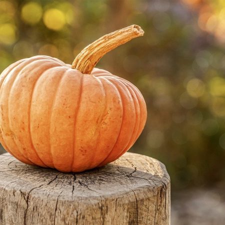 Dehydrated Pumpkin