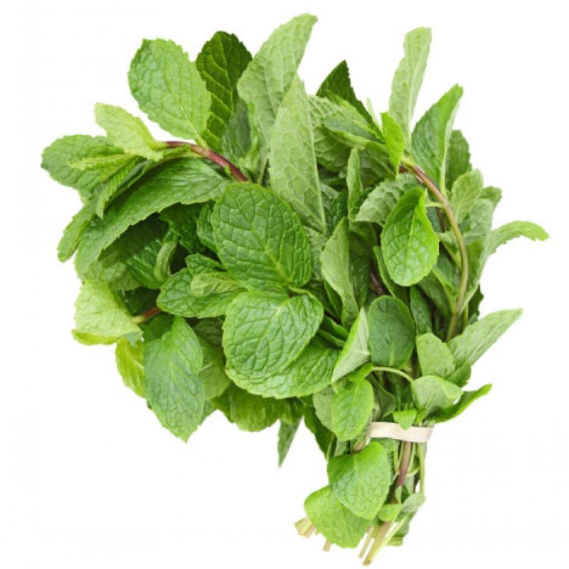 Spearmint Leaves